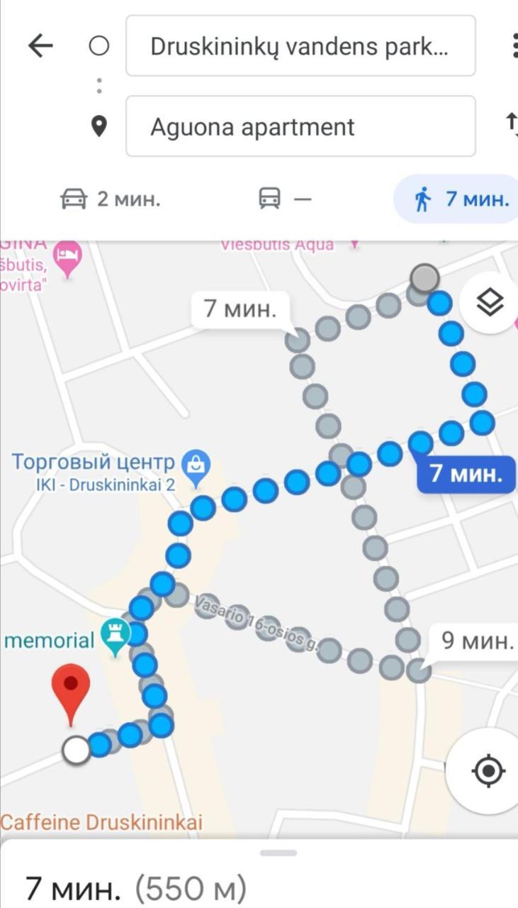 شقة Aguona Apartament دروسكينينكاي المظهر الخارجي الصورة